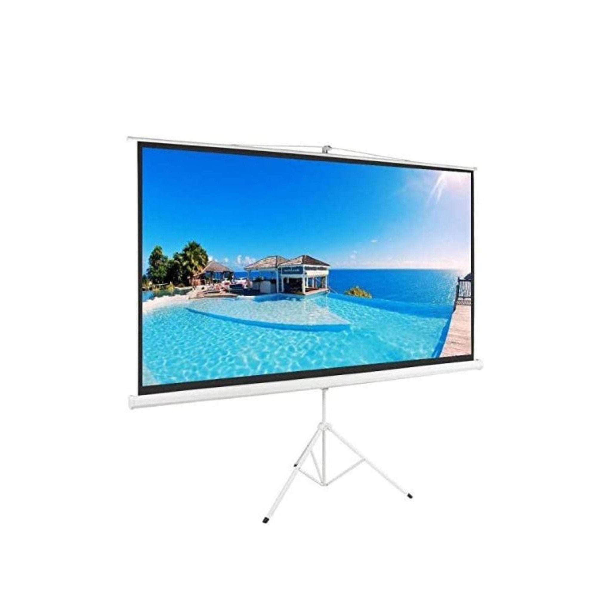 ANC Bright Projection Screen