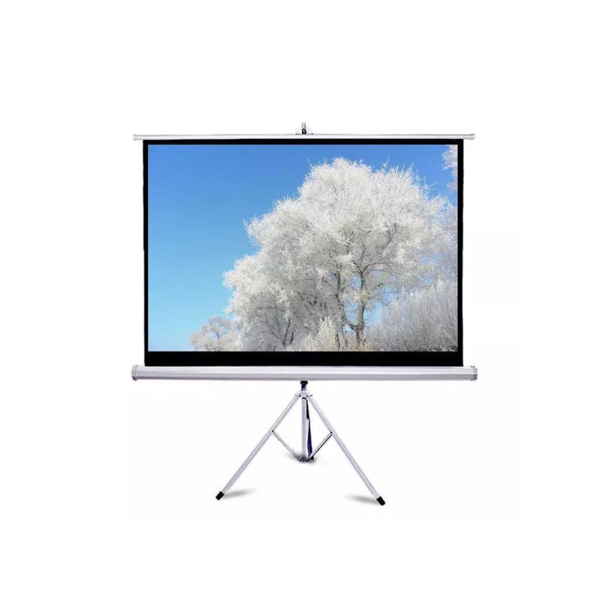 ANC Bright Projection Screen