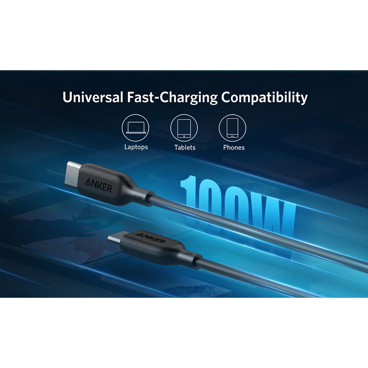 Anker PowerLine III USB-C to USB-C 2.0 100W Cable (6ft/1.8m) – Black