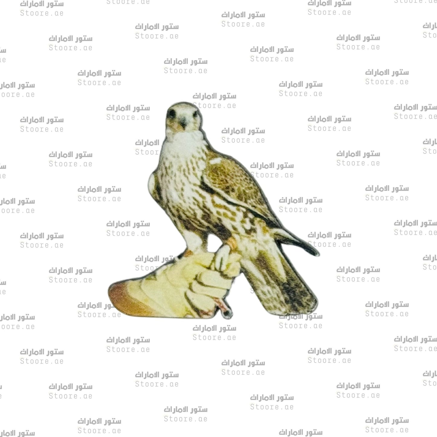 Badge Falcon - 17