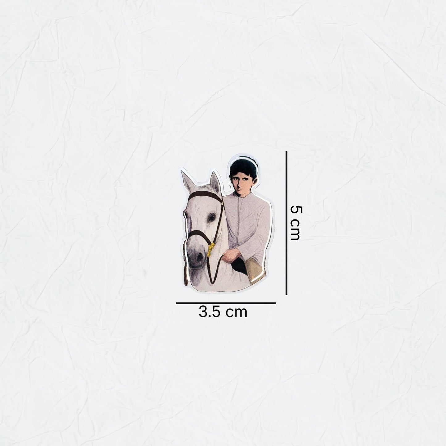 Badge Sheikh Hamdan bin Mohammed Al Maktoum - 5