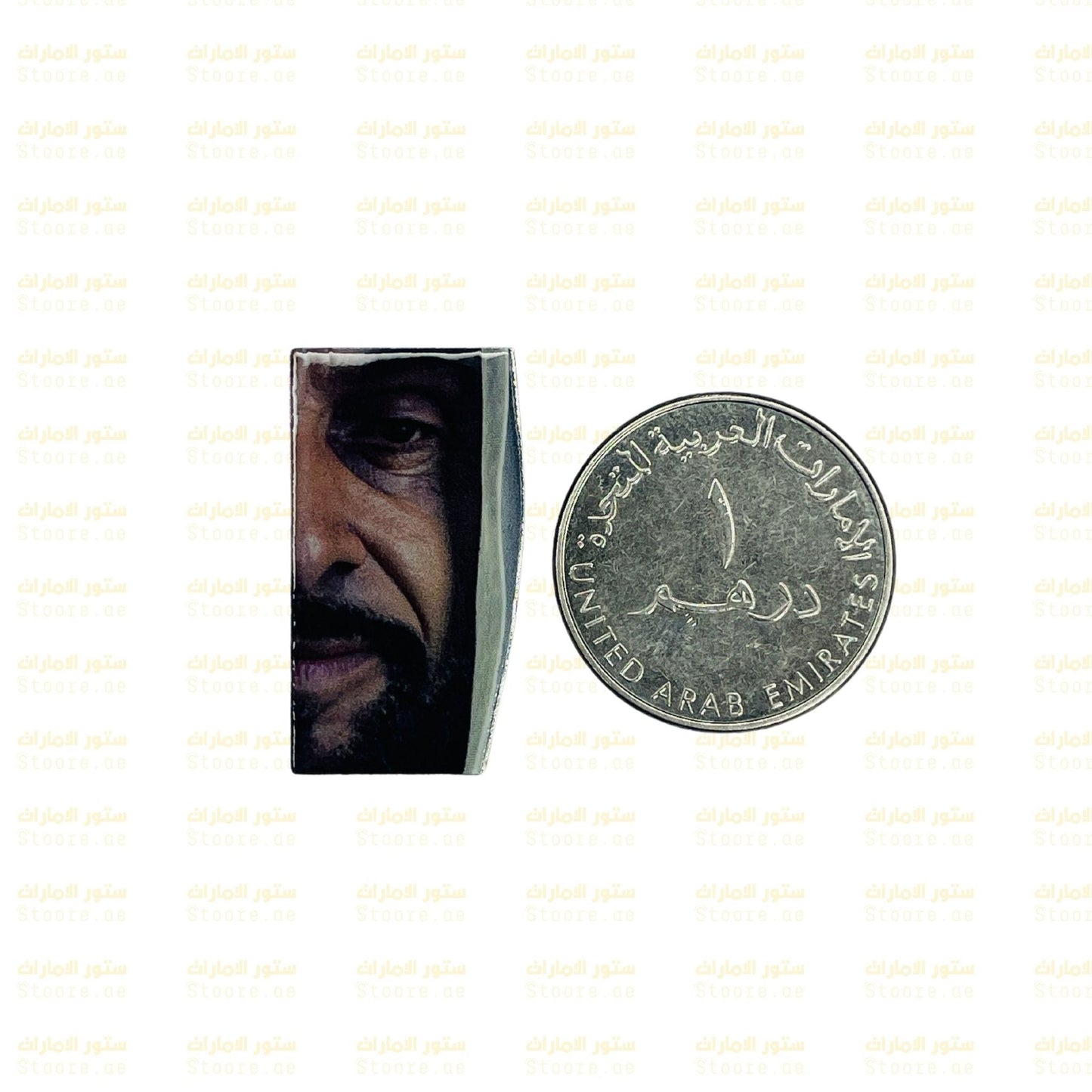 Badge Sheikh Zayed bin Sultan Al Nahyan - 18