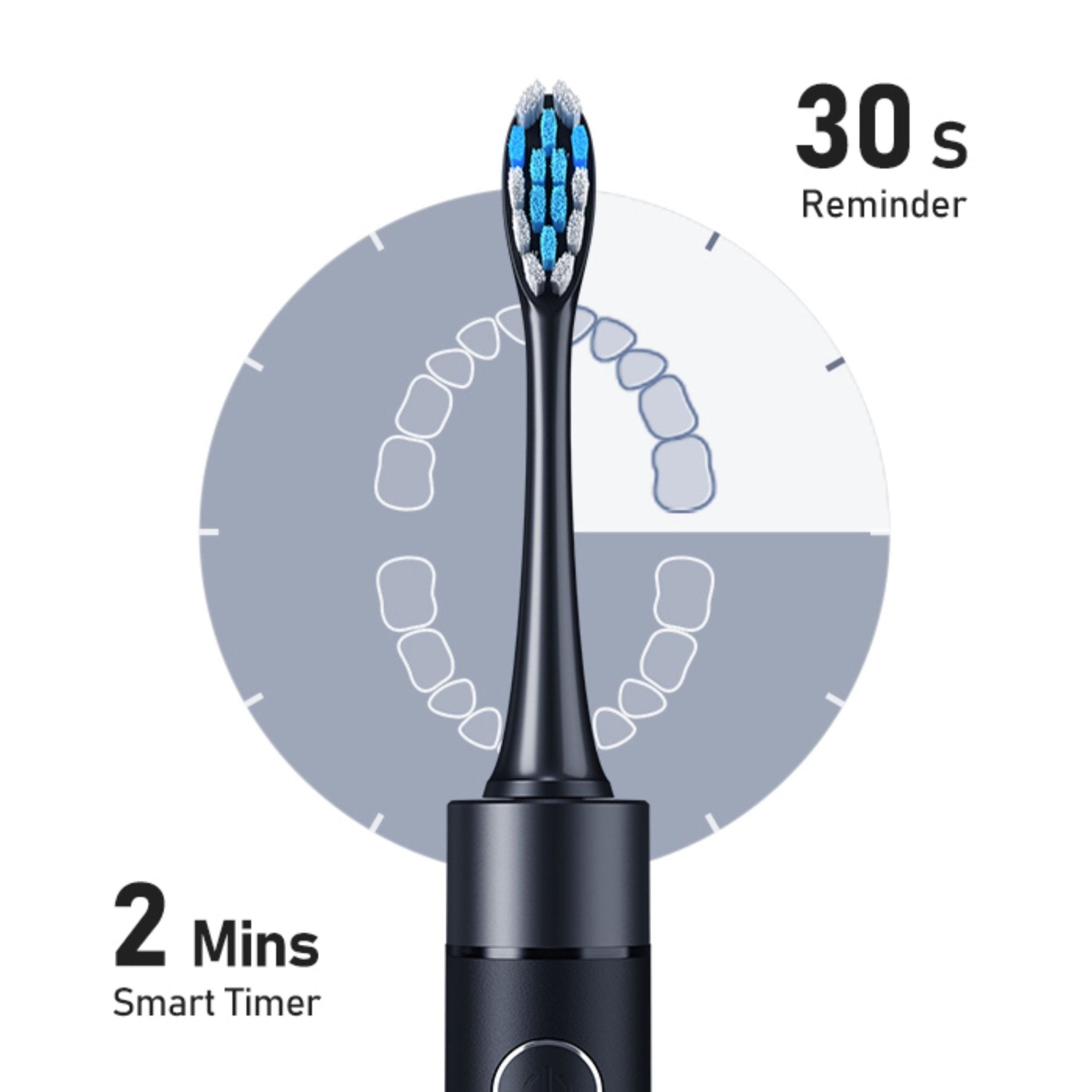 Bitvae Oral Care Daily P80 Electric Toothbrush - Black