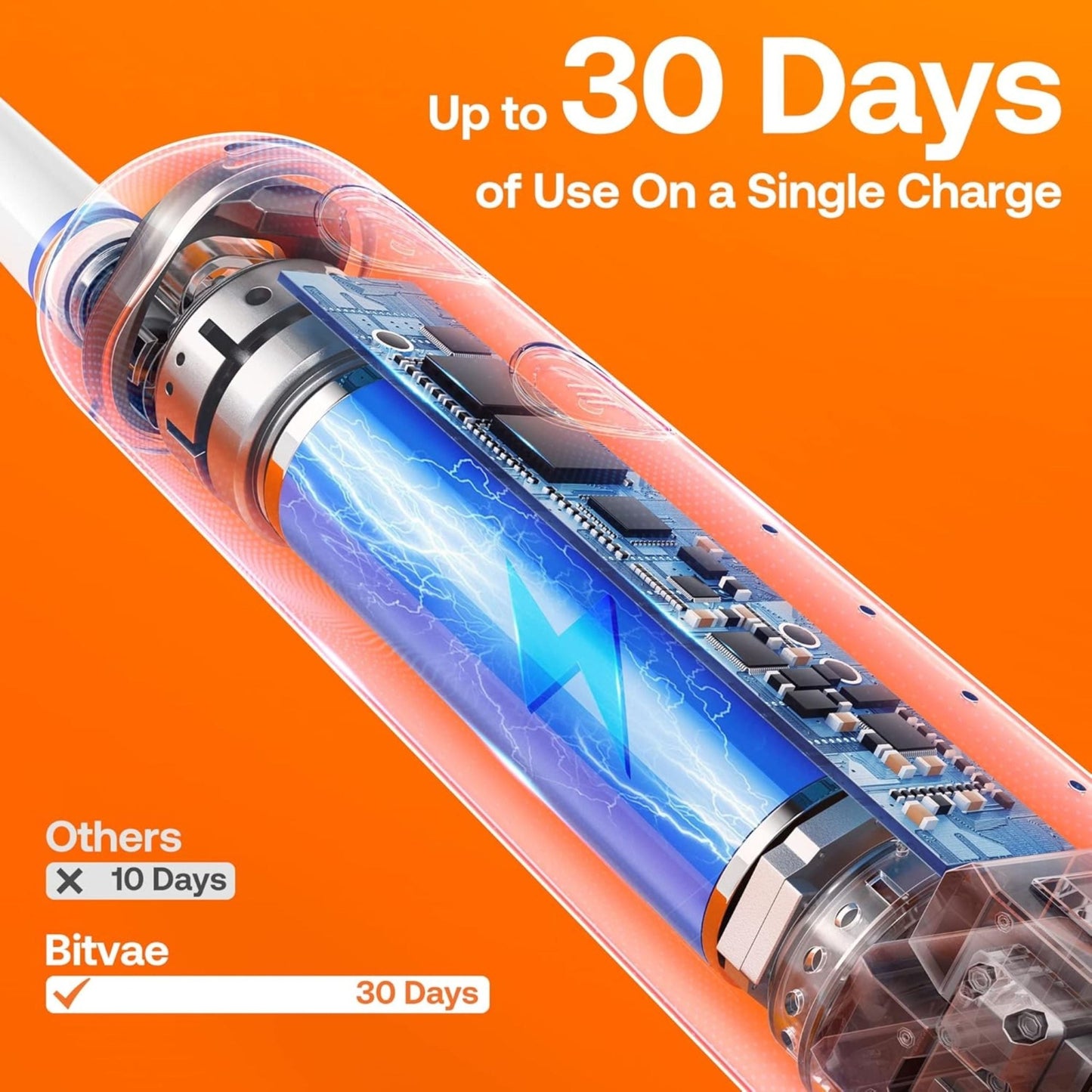 Bitvae Oral Care Daily R2 Rotary Electric Toothbrush - Black