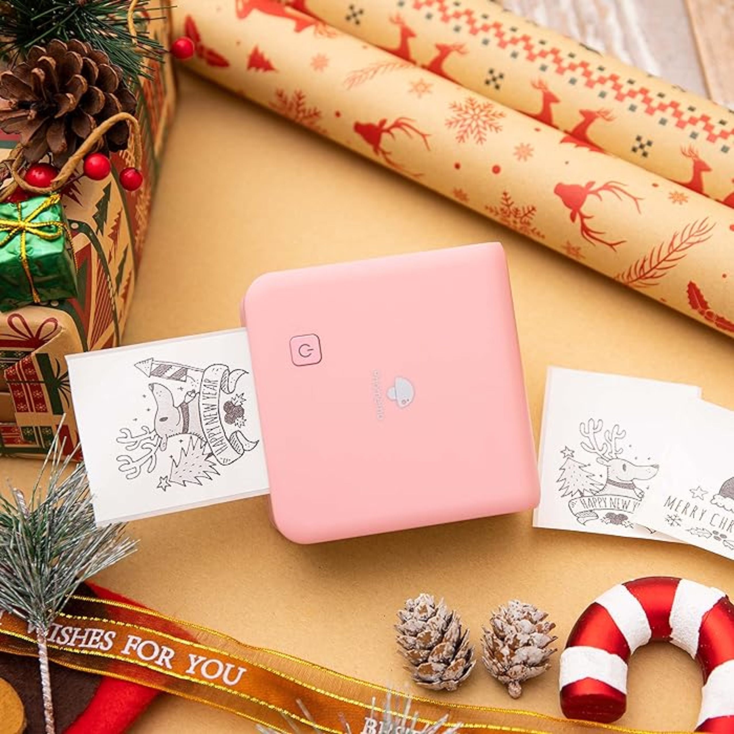 Phomemo M02 PRO Portable Printer