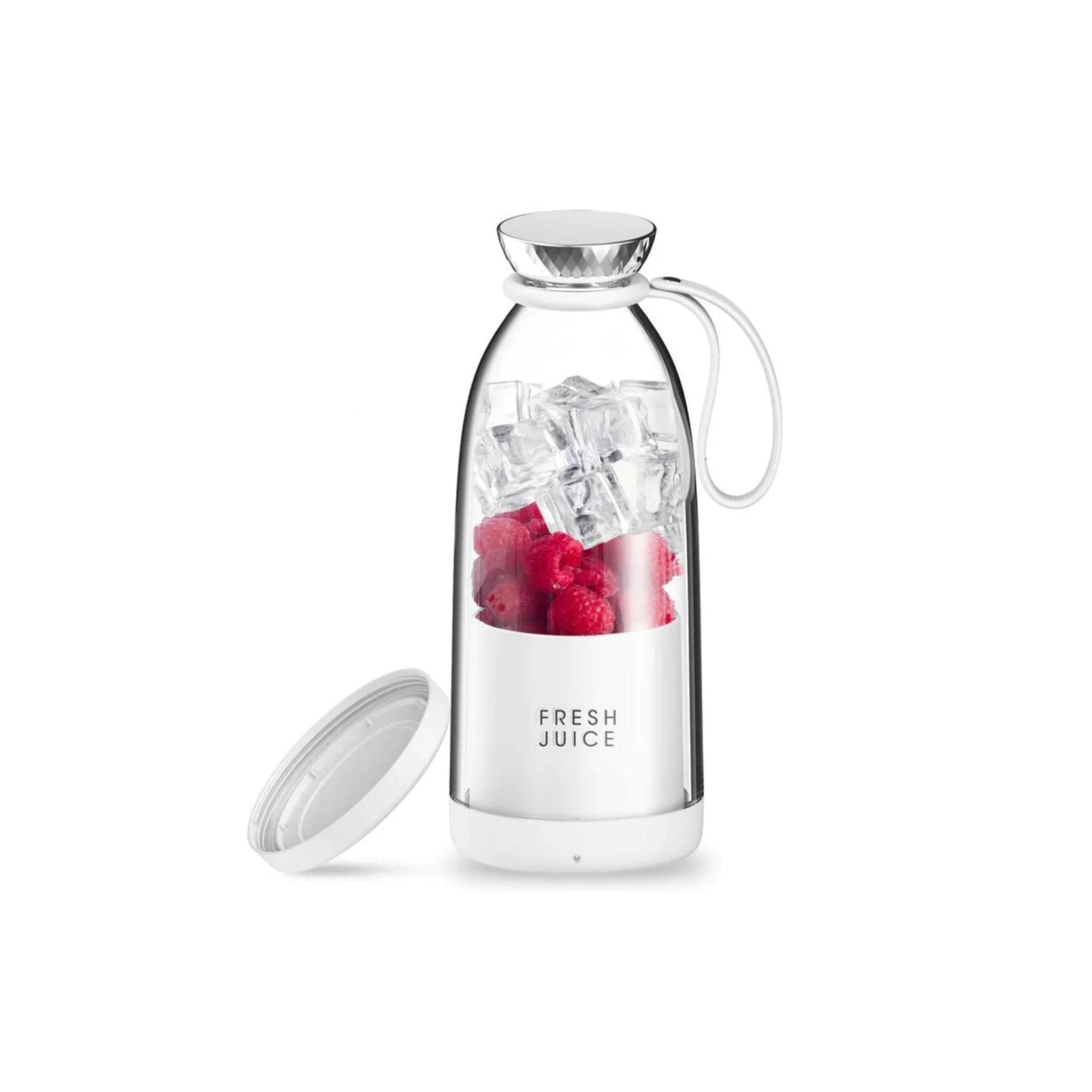 Portable Mini Fruit Blender