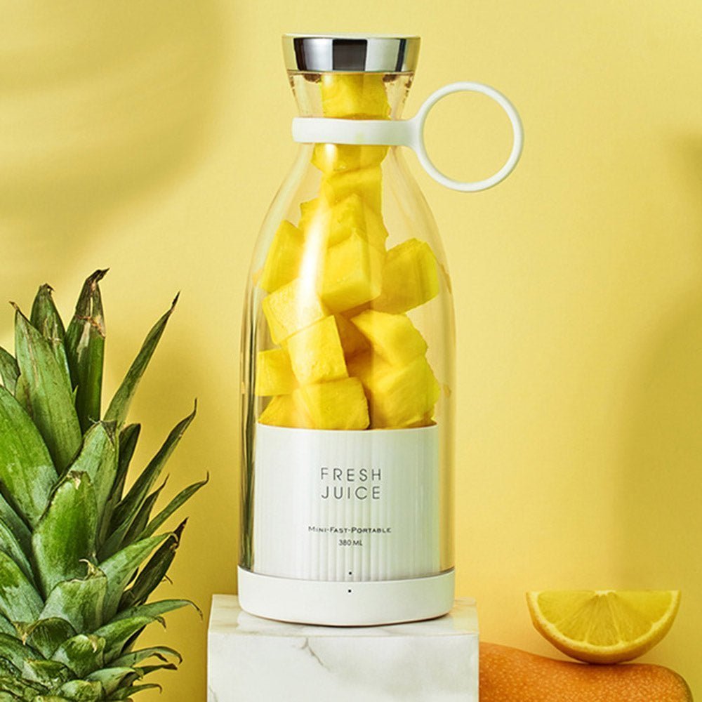 Portable Mini Fruit Blender