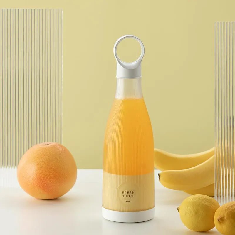 Portable Mini Fruit Blender