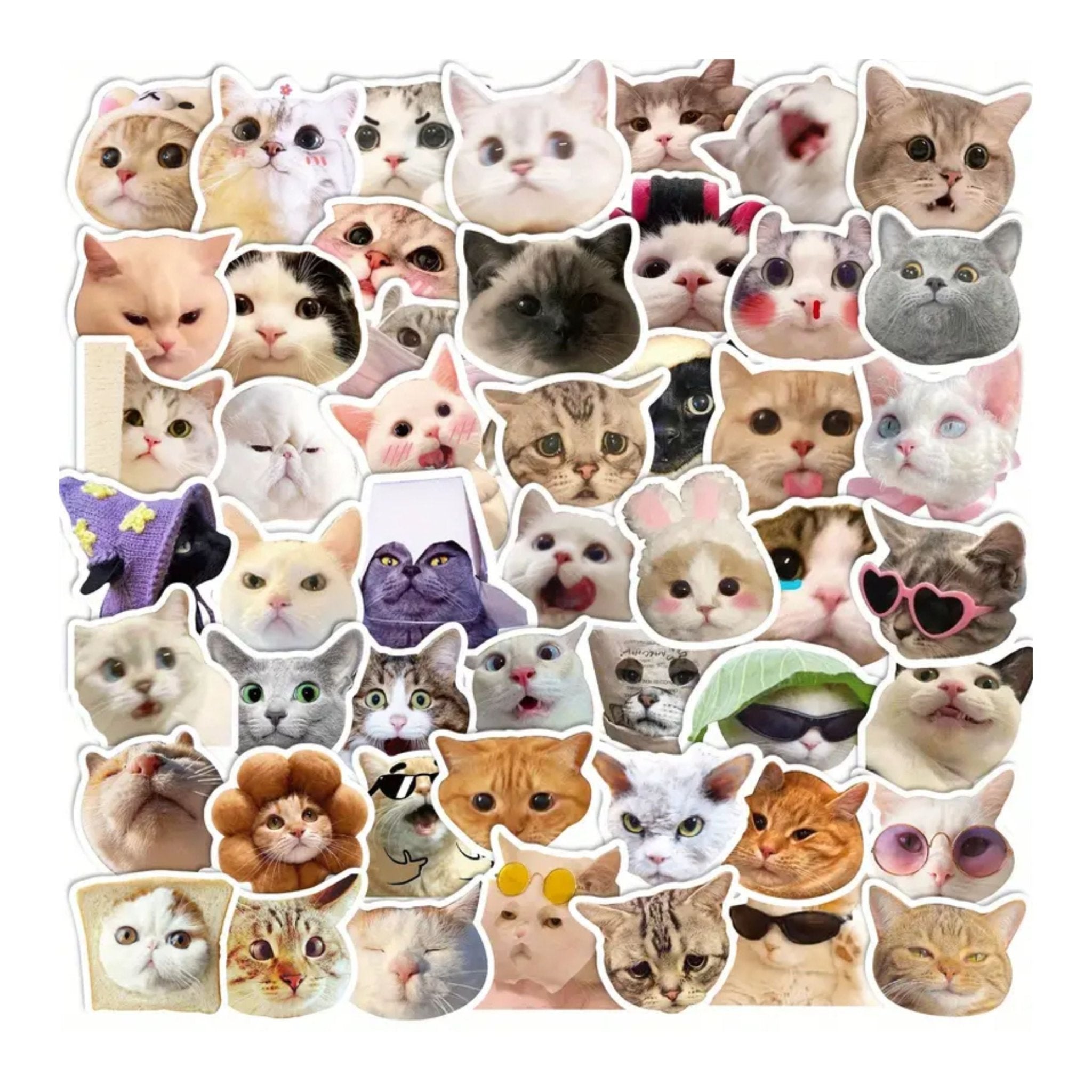 Sticker Funny And Cute Cats - 50pc