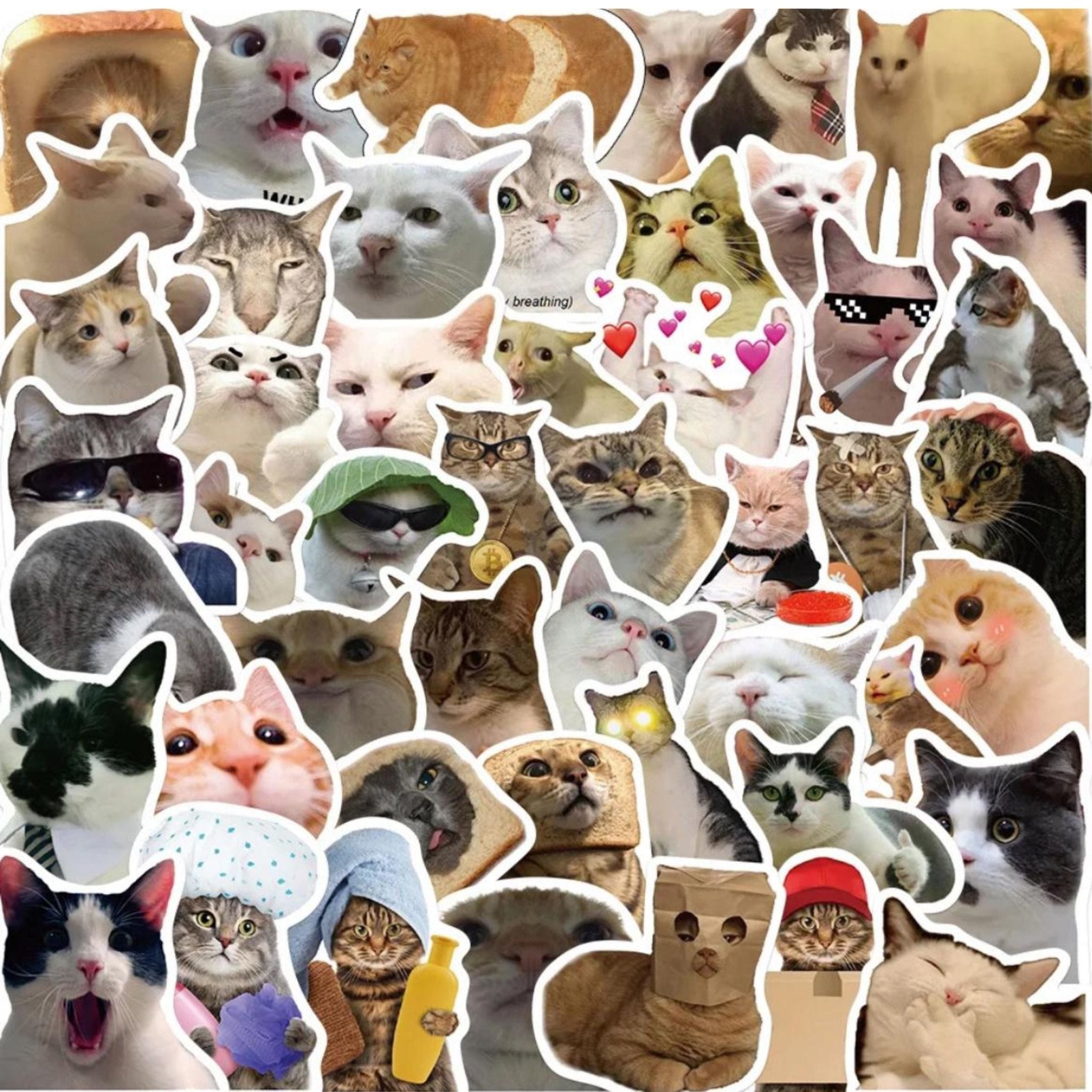 Sticker Funny And Cute Cats - 50pc