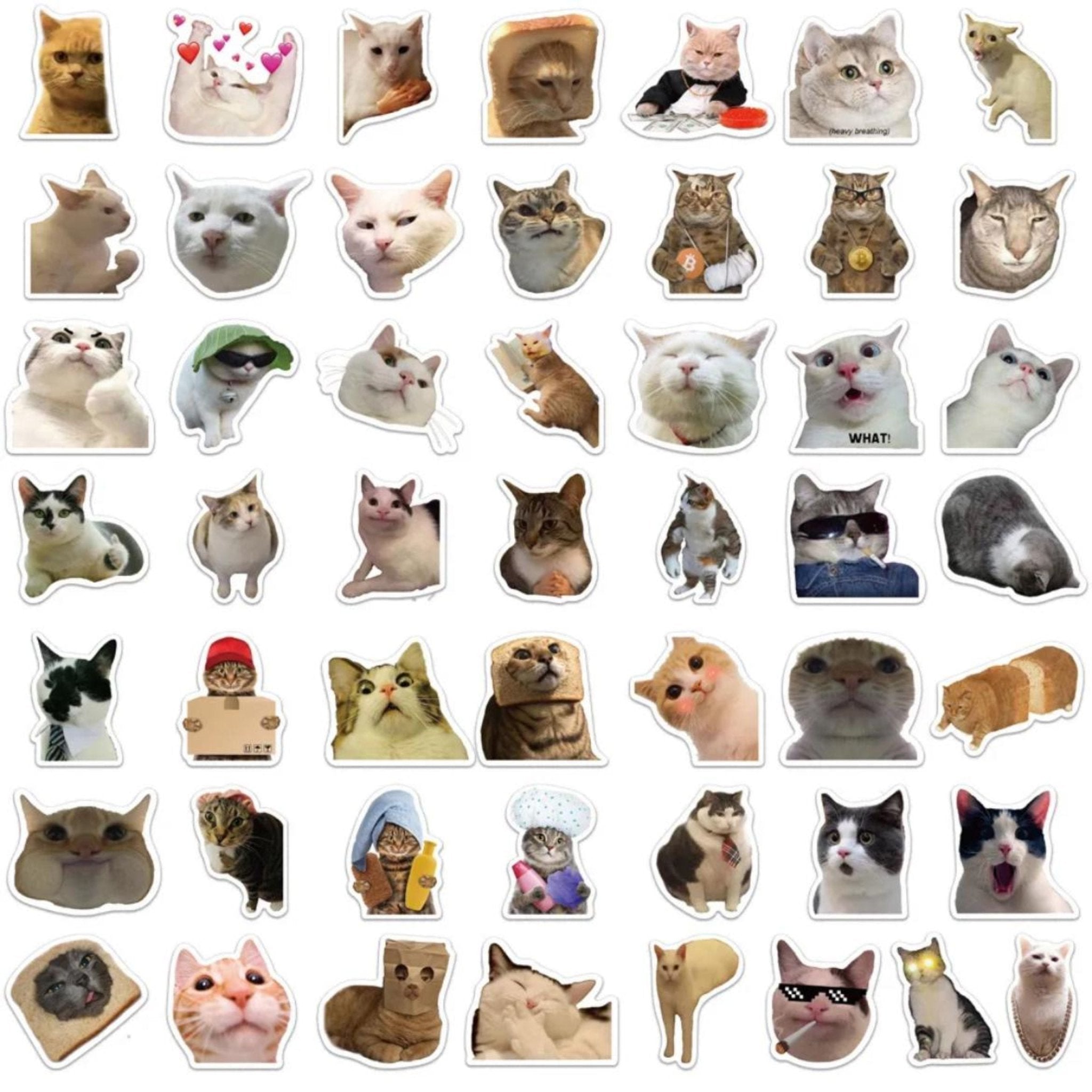 Sticker Funny And Cute Cats - 50pc