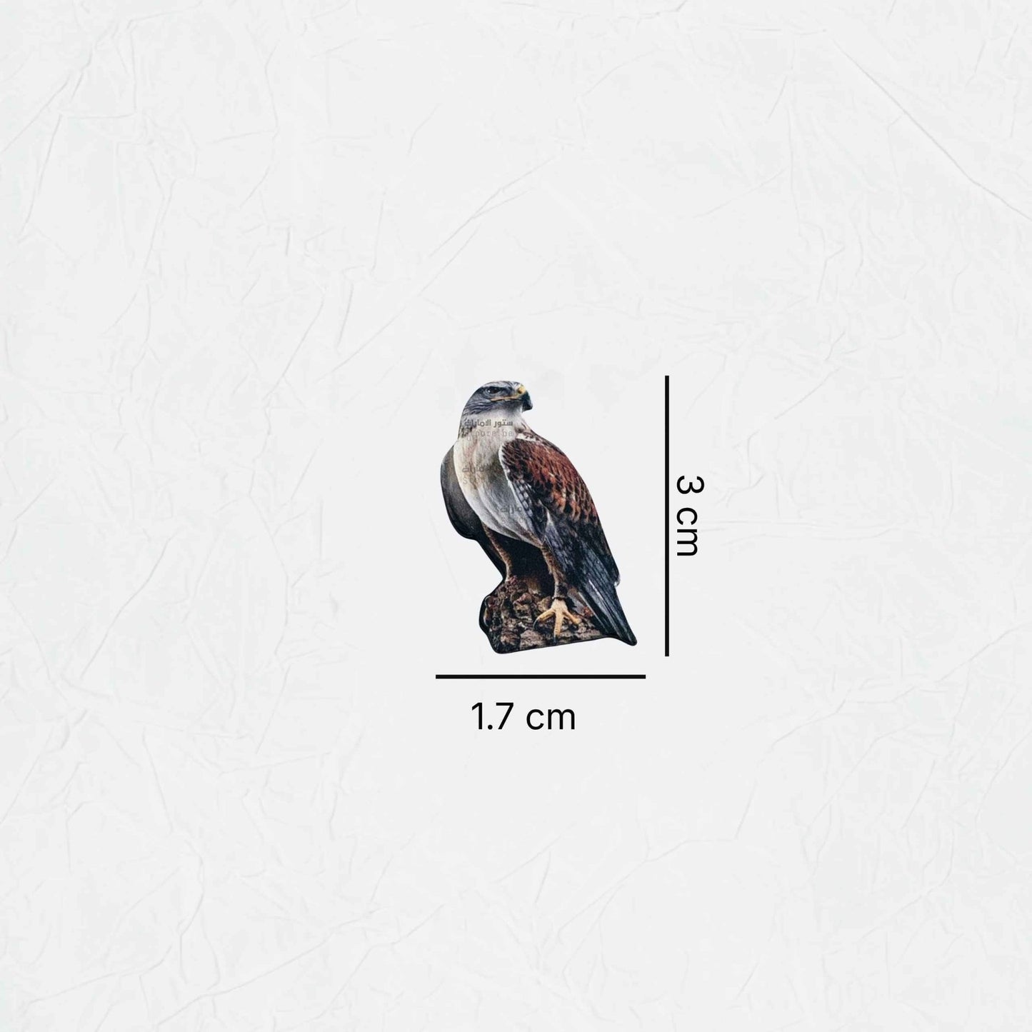 Badge Falcon - 25 - STOORE.AE | ستور الامارات