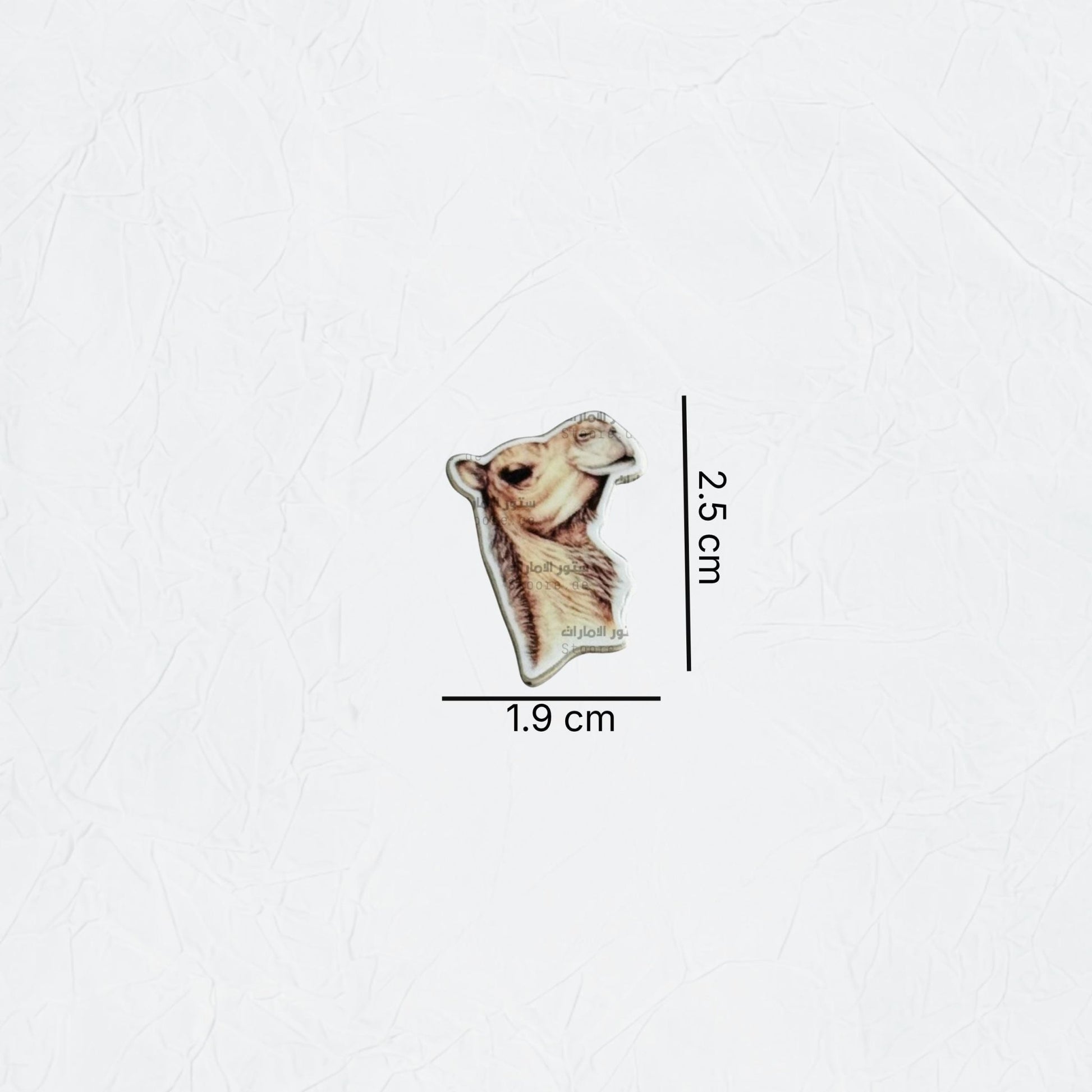 Badge Camel - 6