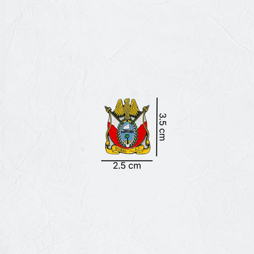 Badge Dubai Government - 5