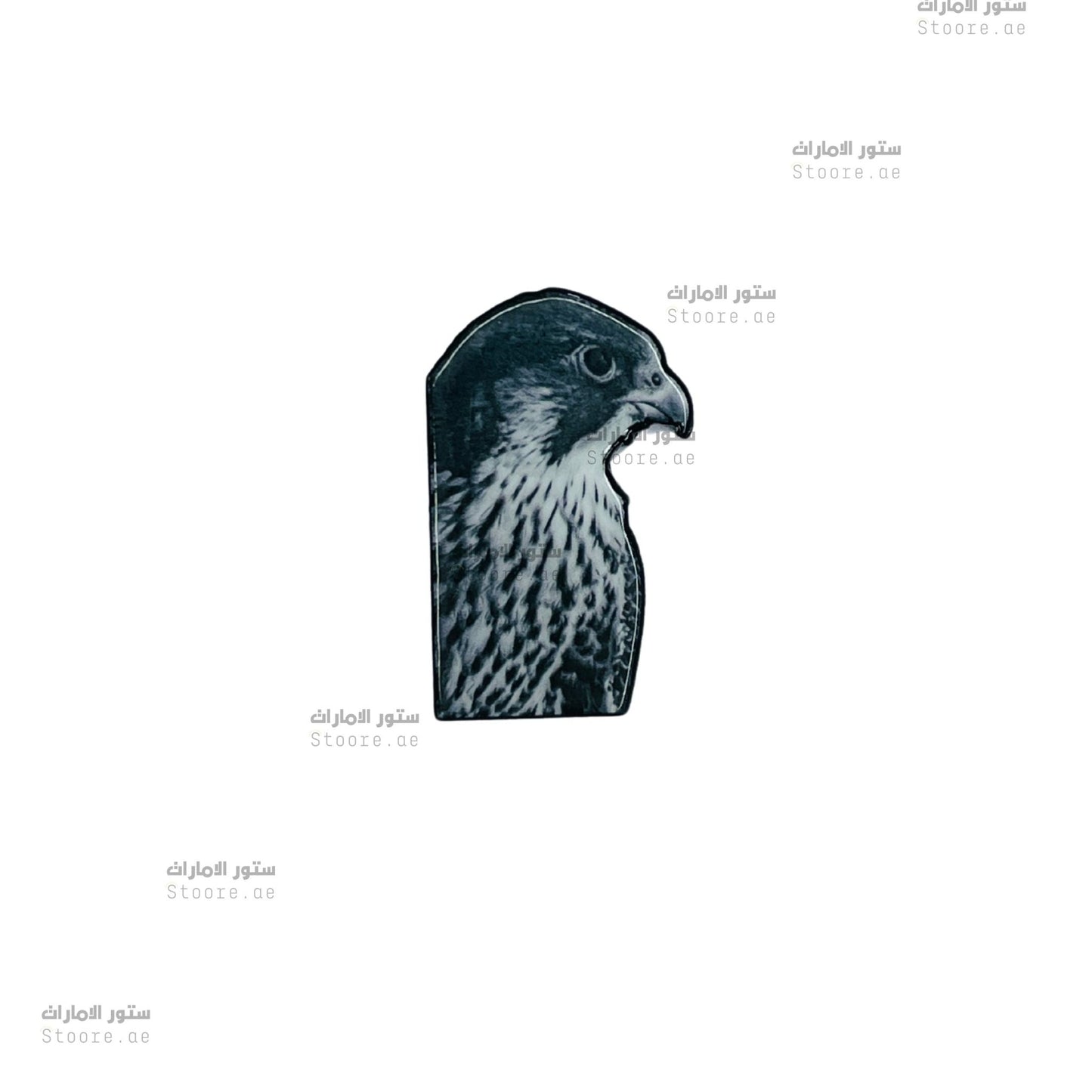 Badge Falcon - 11