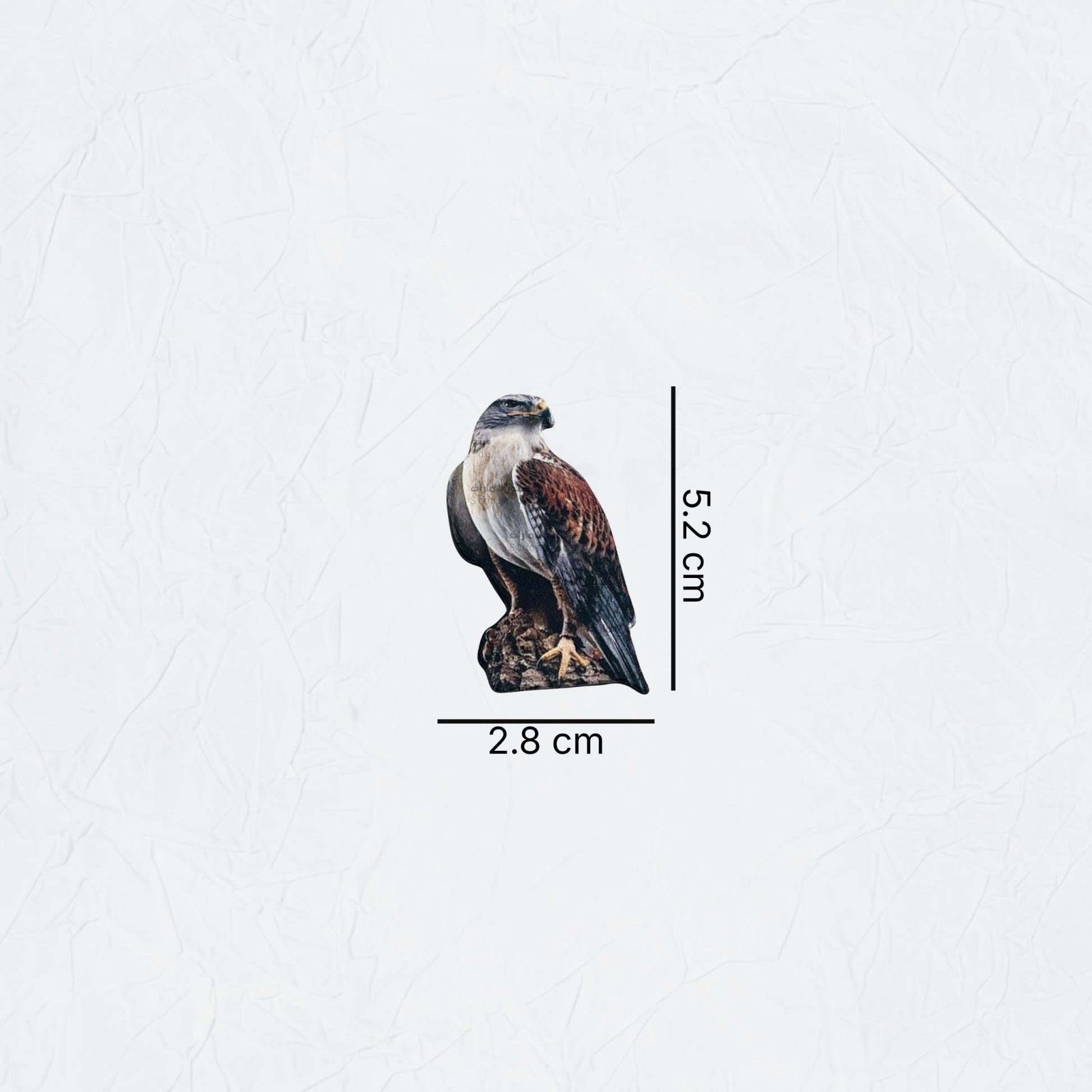 Badge Falcon - 15