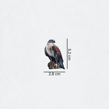 Badge Falcon - 15