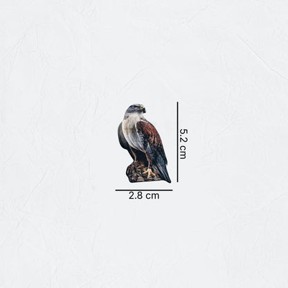 Badge Falcon - 15
