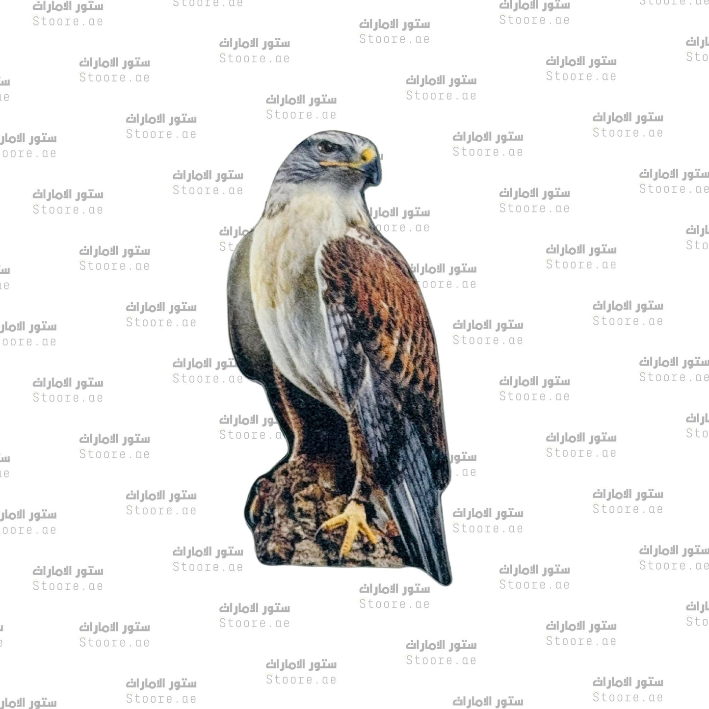 Badge Falcon - 15