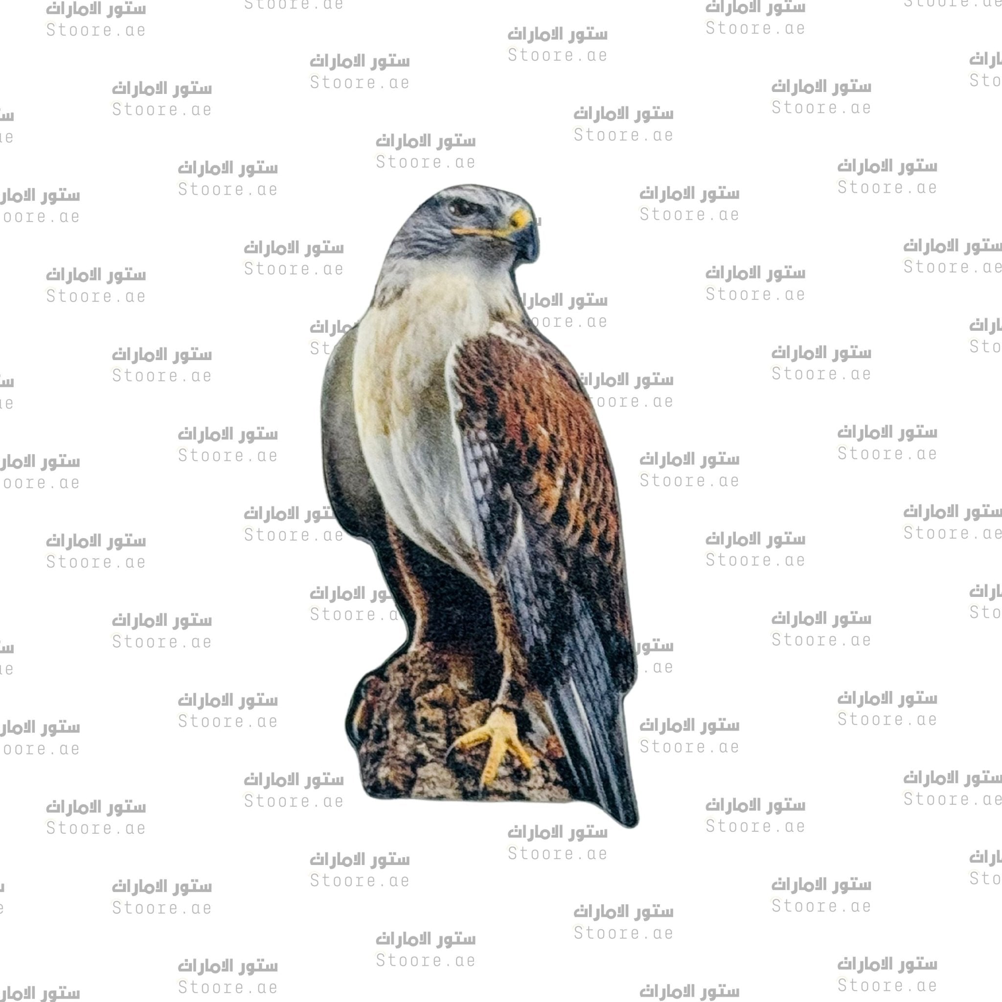 Badge Falcon - 15