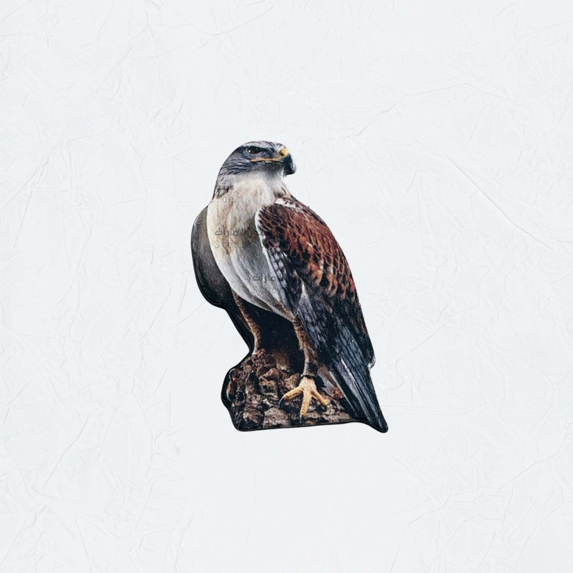 Badge Falcon - 15