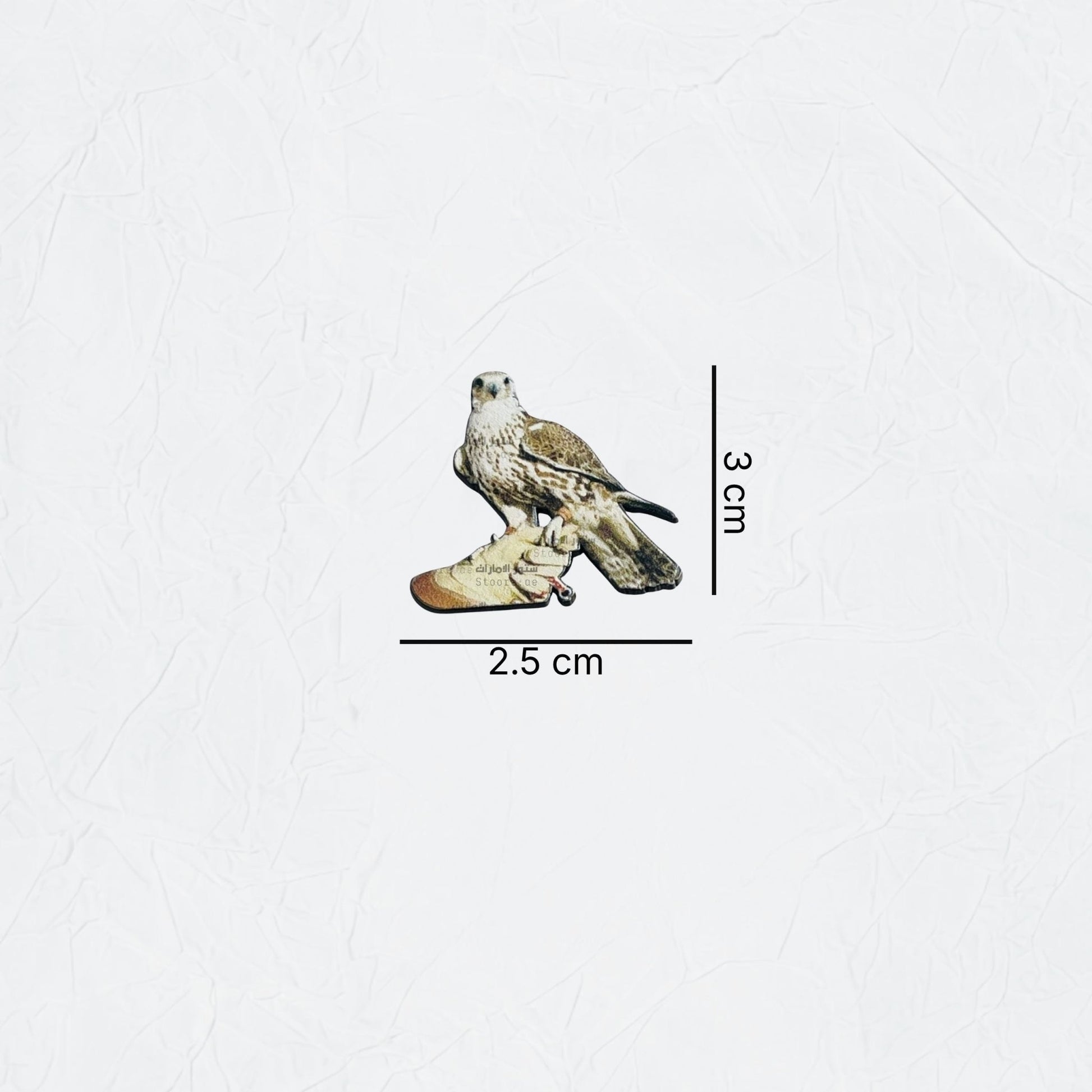 Badge Falcon - 17