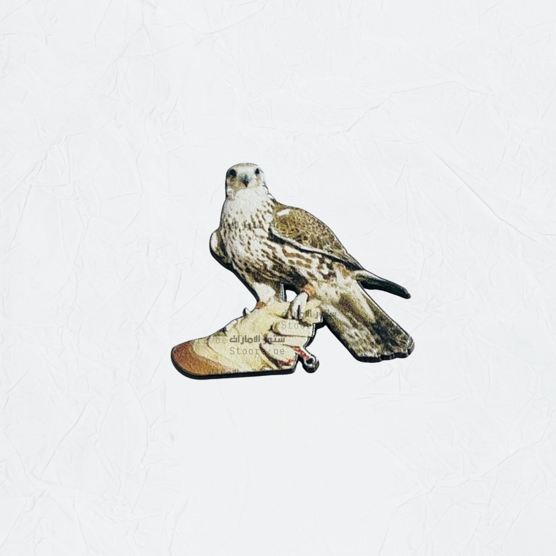 Badge Falcon - 17