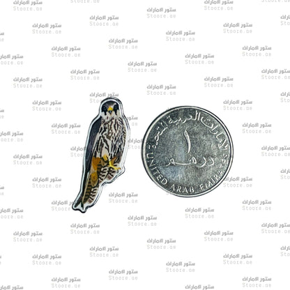 Badge Falcon - 21