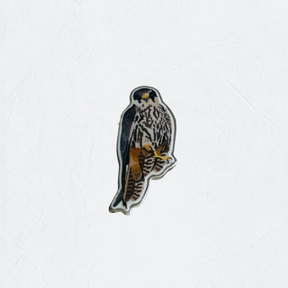 Badge Falcon - 21