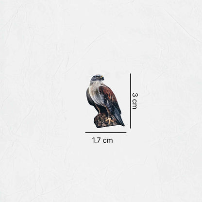 Badge Falcon - 25
