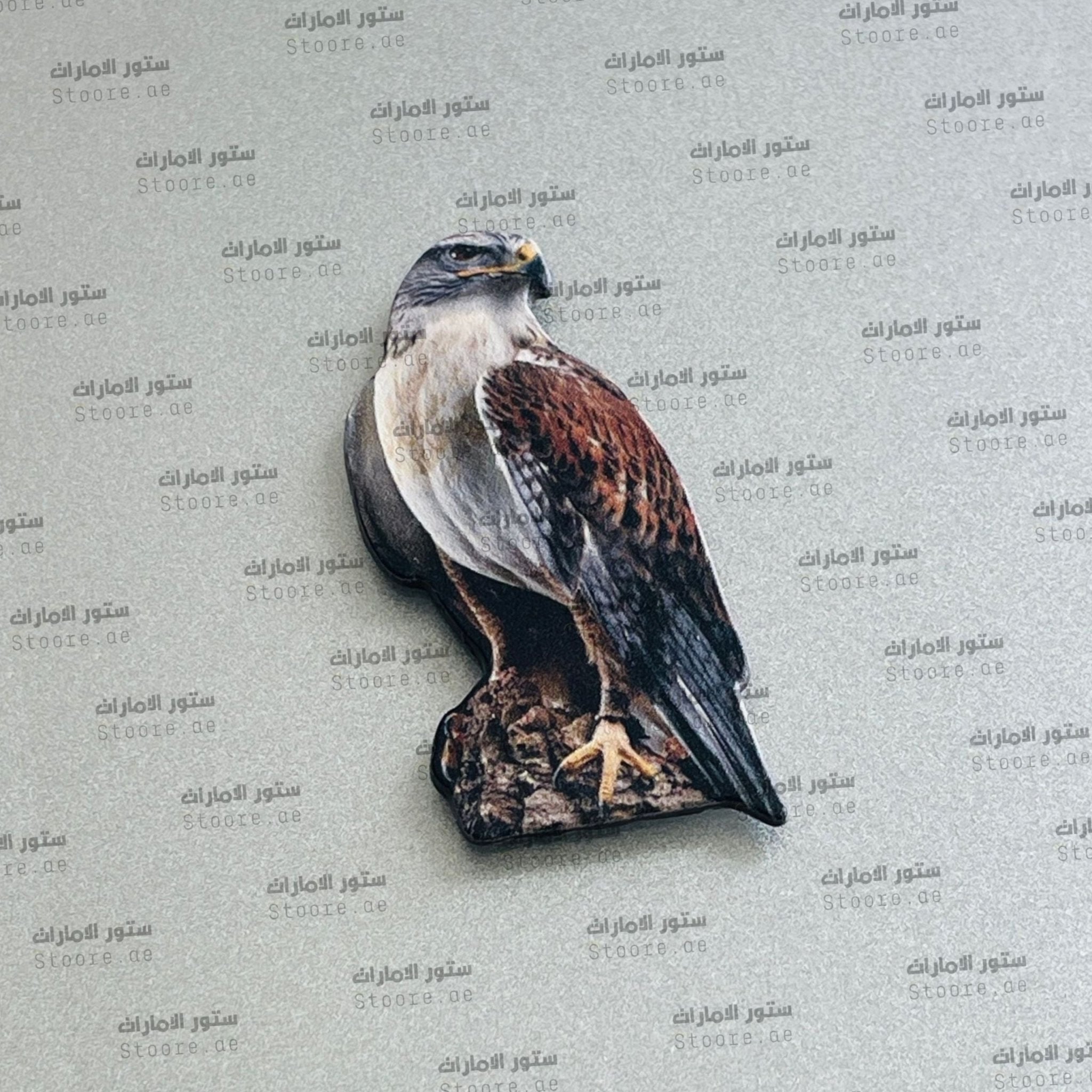 Badge Falcon - 25