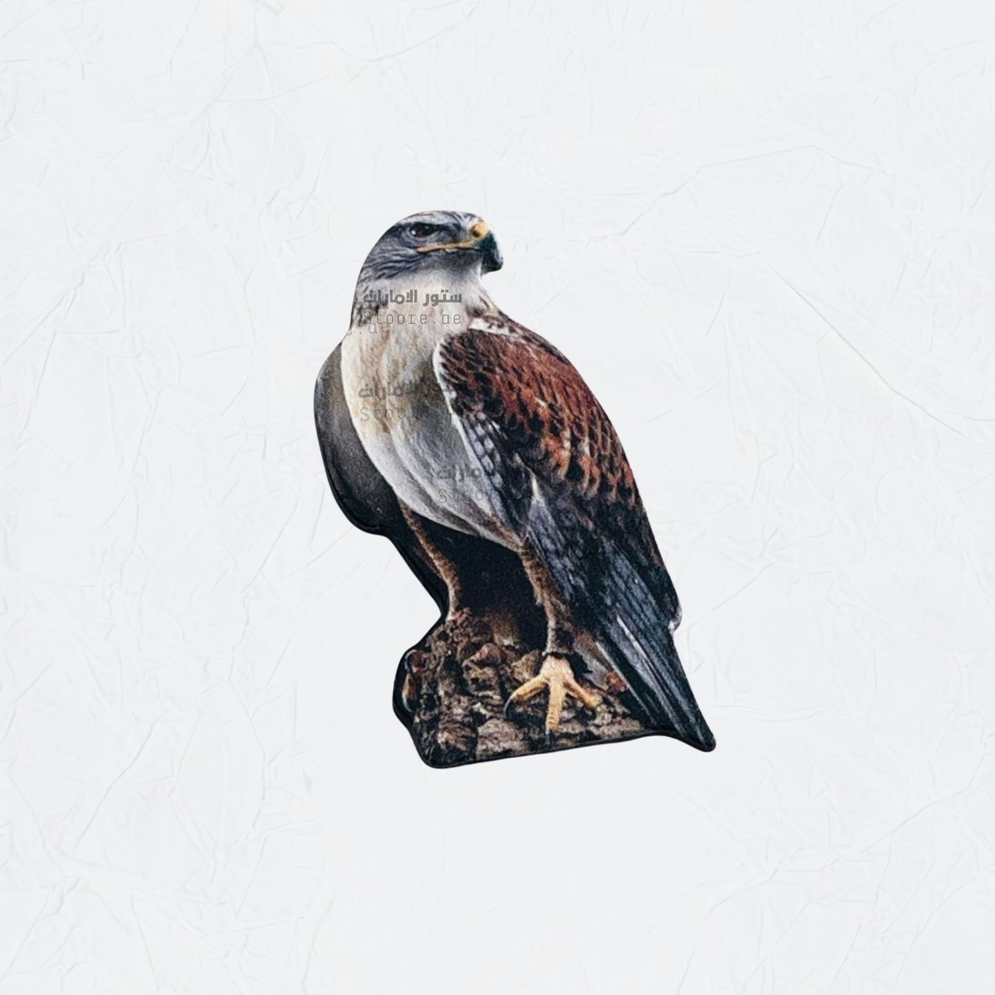 Badge Falcon - 25