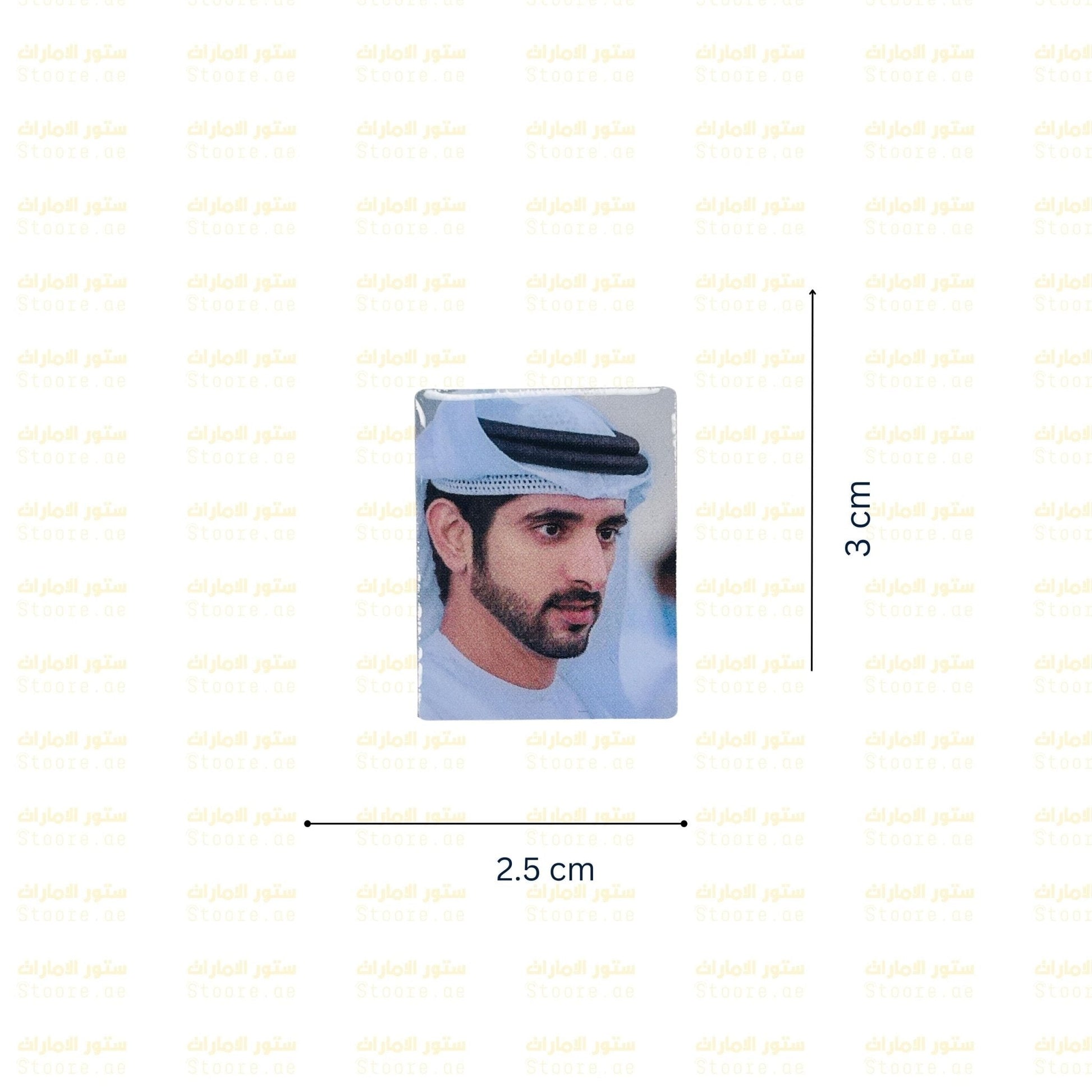 Badge Sheikh Hamdan bin Mohammed Al Maktoum - 4