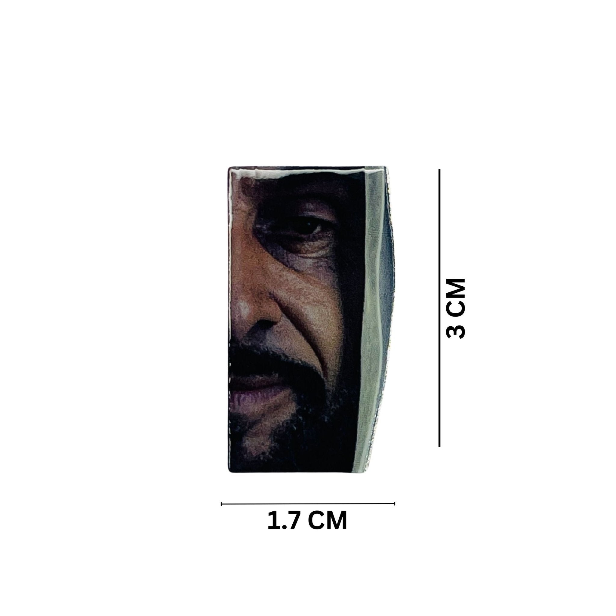 Badge Sheikh Zayed bin Sultan Al Nahyan - 18