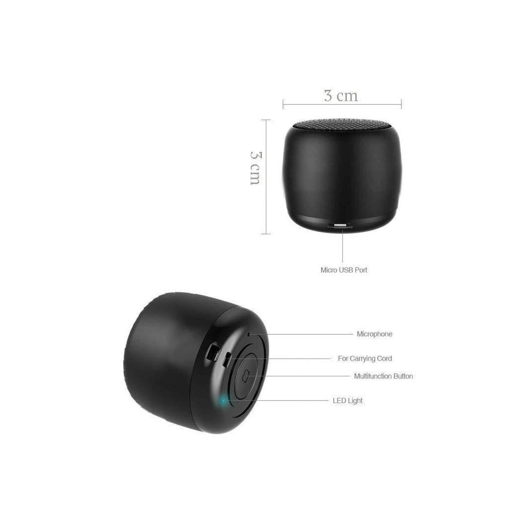 Green Lion Mini Speaker-Black