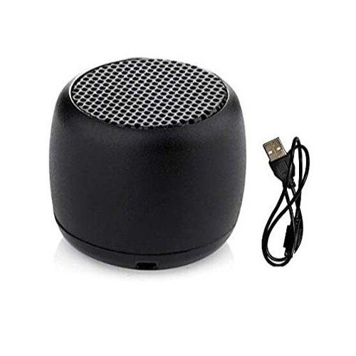 Green Lion Mini Speaker-Black