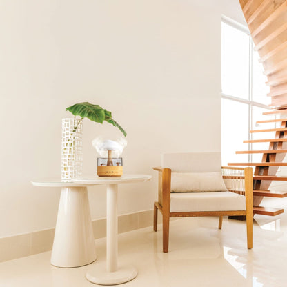 Green Lion RAIN CLOUD Diffuser- Wood