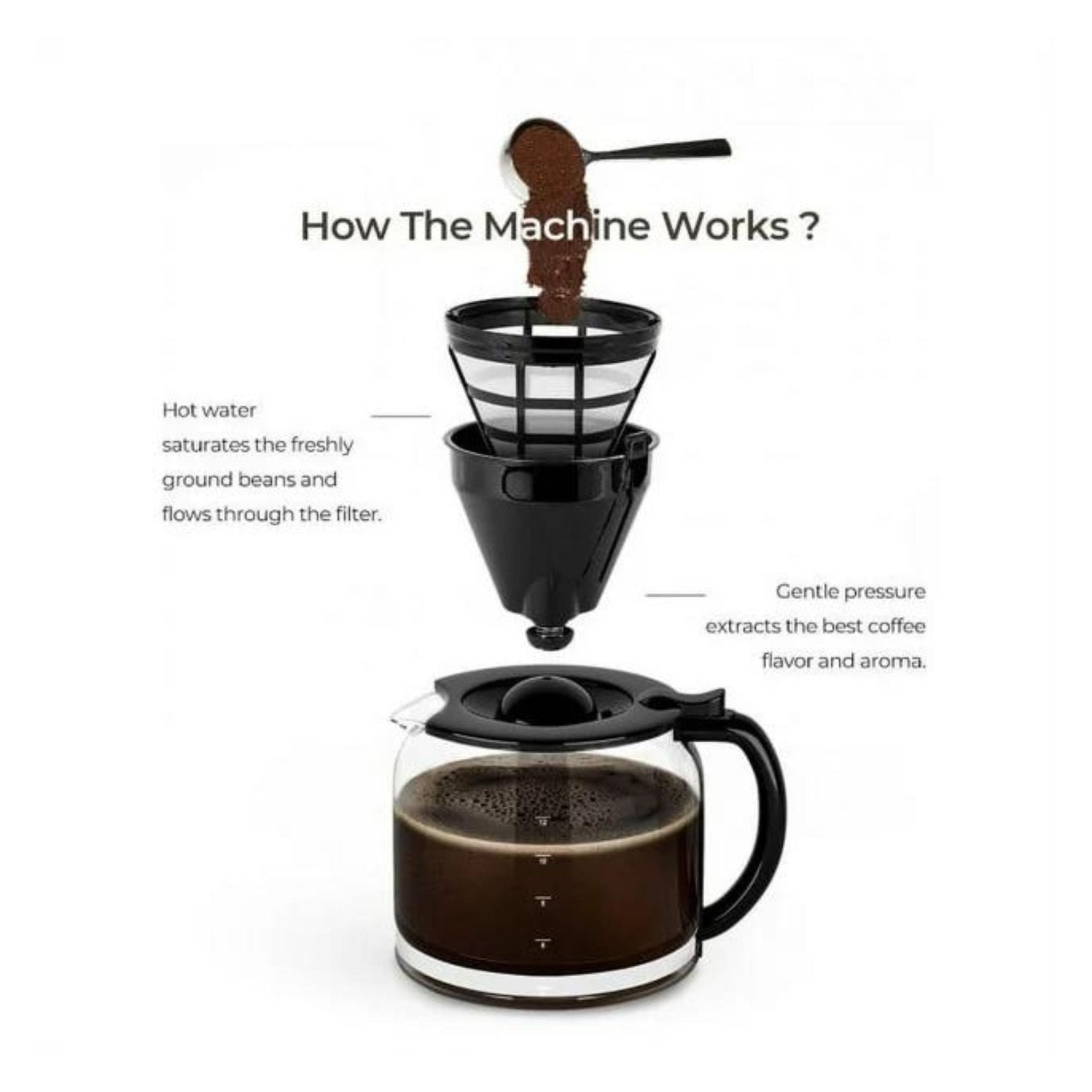 LePresso Drip Coffee Maker with Glass Carafe 1.5L 900W (LPCMDGBK) - Black