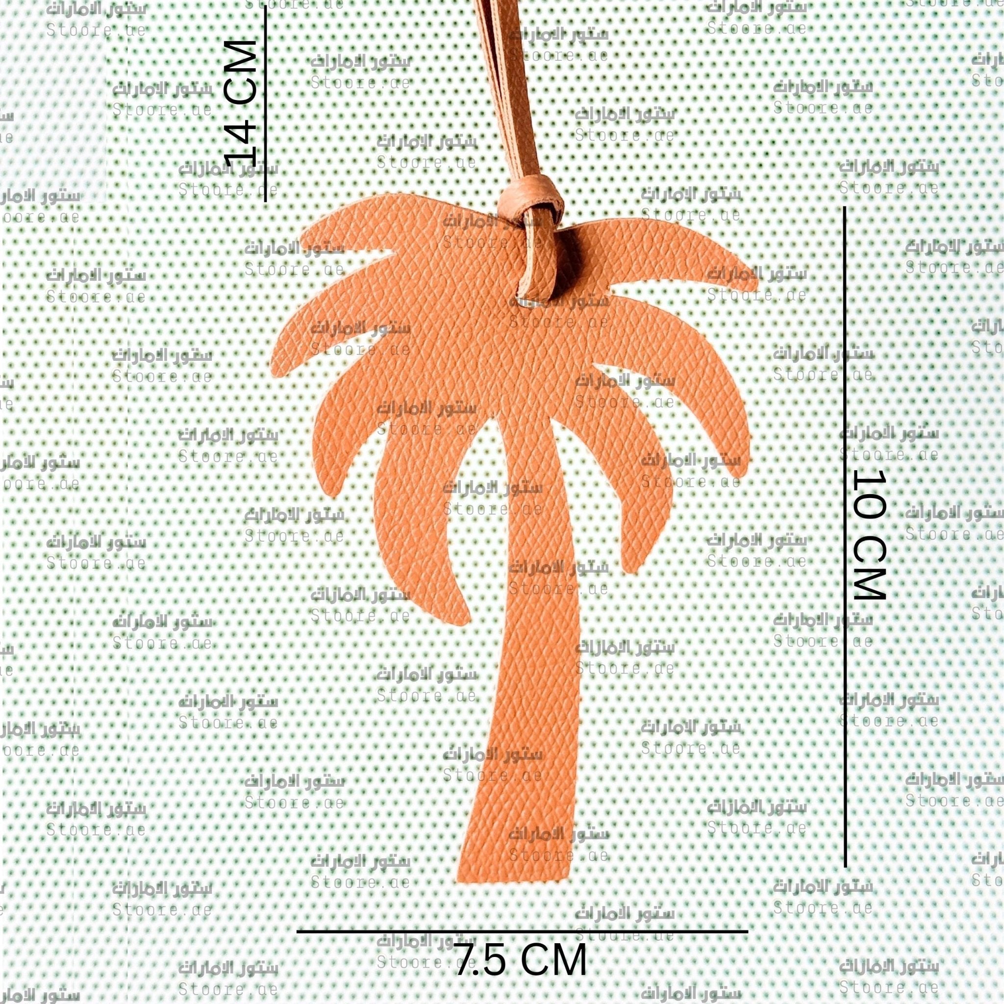 Leather Charm Palm - 1