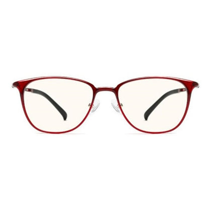 Mi Computer Glasses