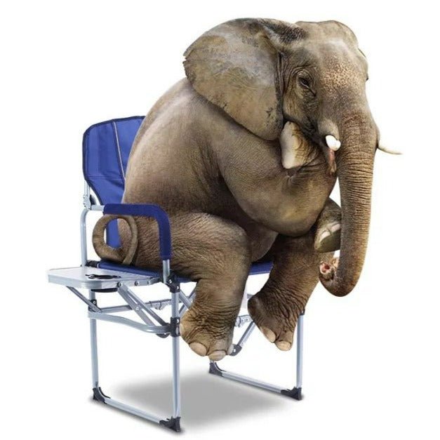 Portable Director's Chair