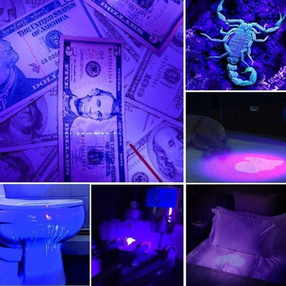 Powerful UV Flash Light With 21 LED Lamp C-L237