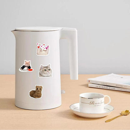 Sticker Funny And Cute Cats - 50pc