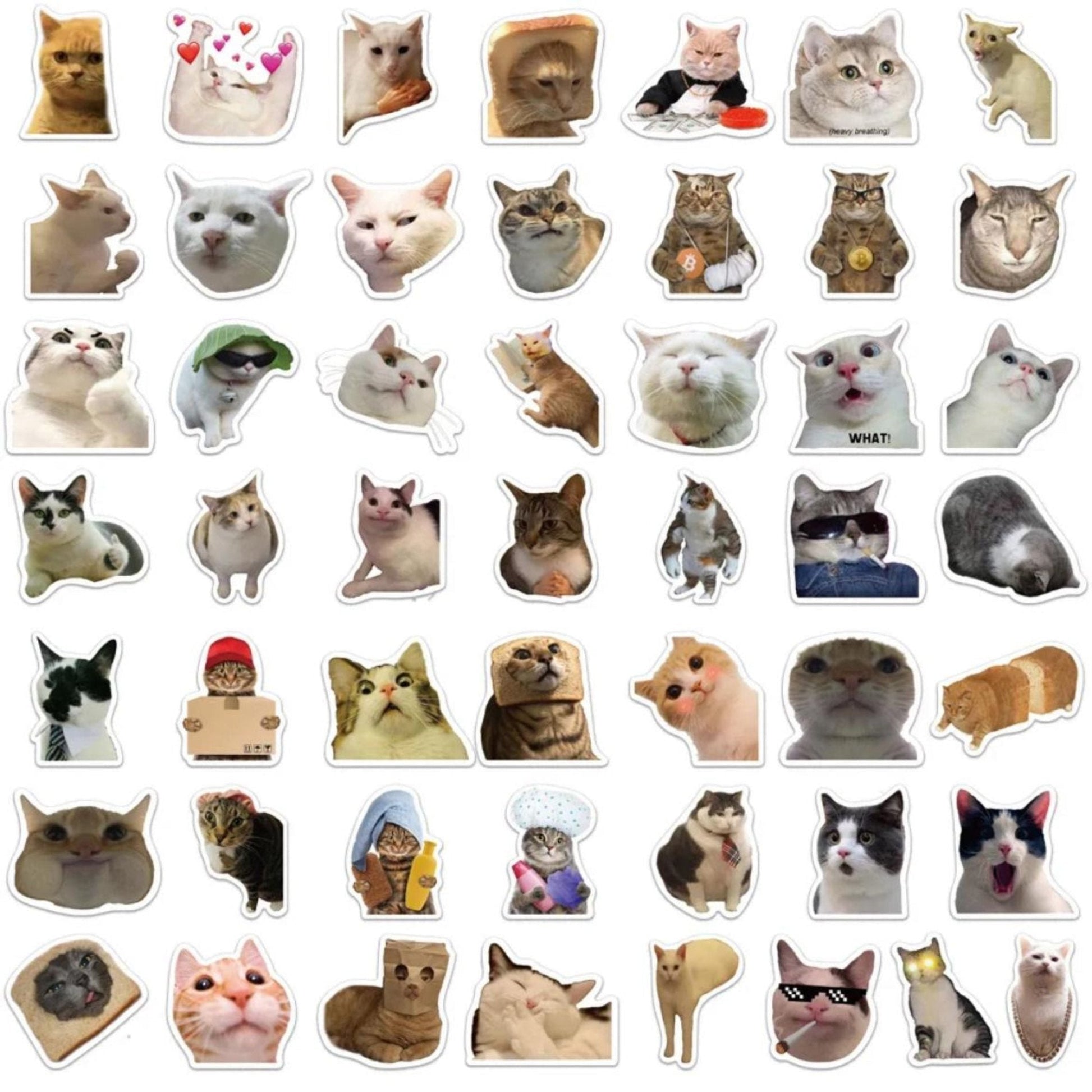 Sticker Funny And Cute Cats - 50pc