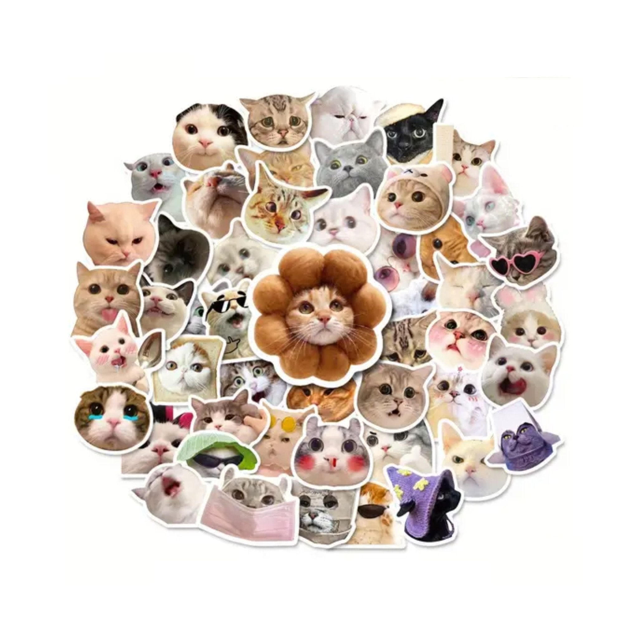 Sticker Funny And Cute Cats - 50pc