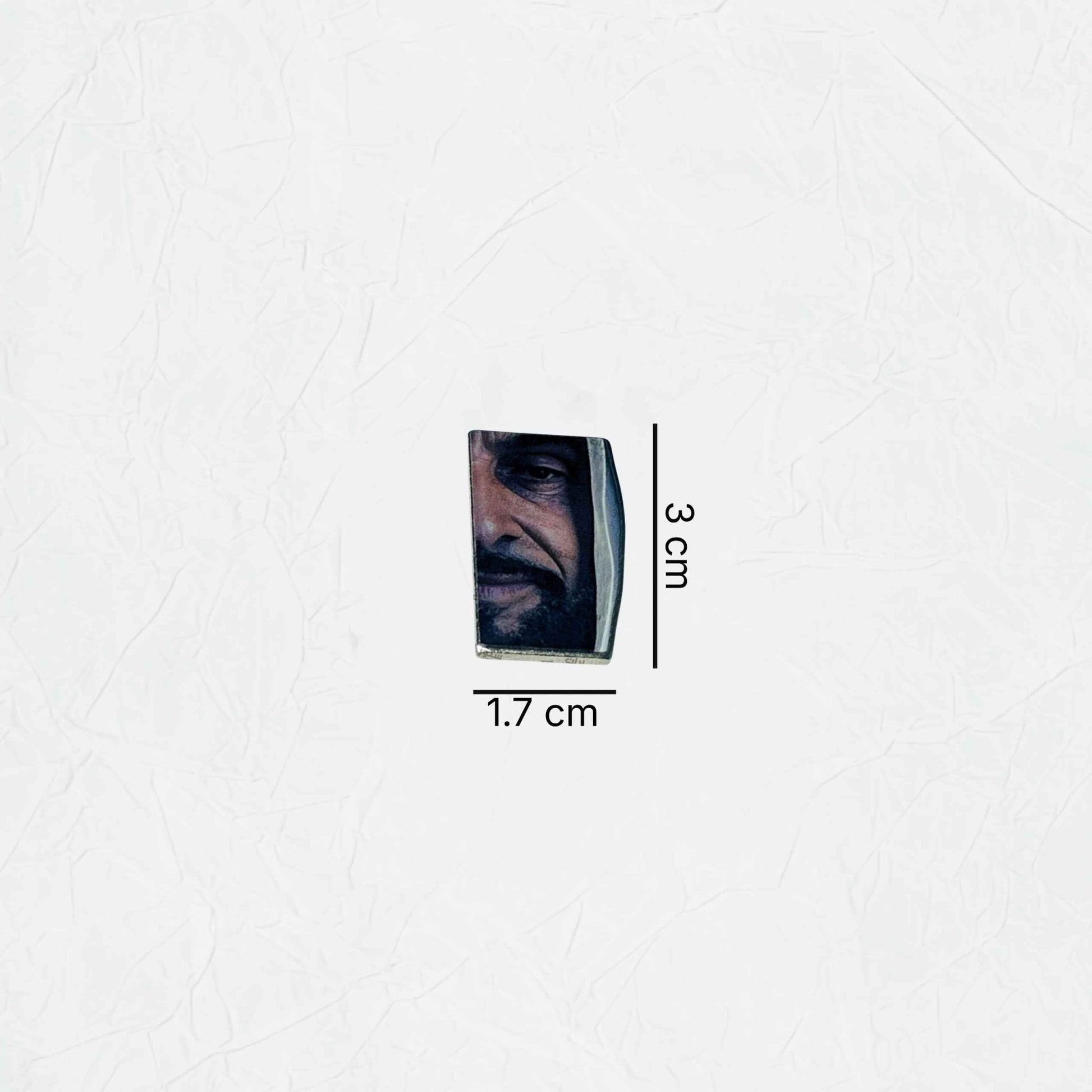 Badge Sheikh Zayed bin Sultan Al Nahyan - 18 - STOORE.AE | ستور الامارات