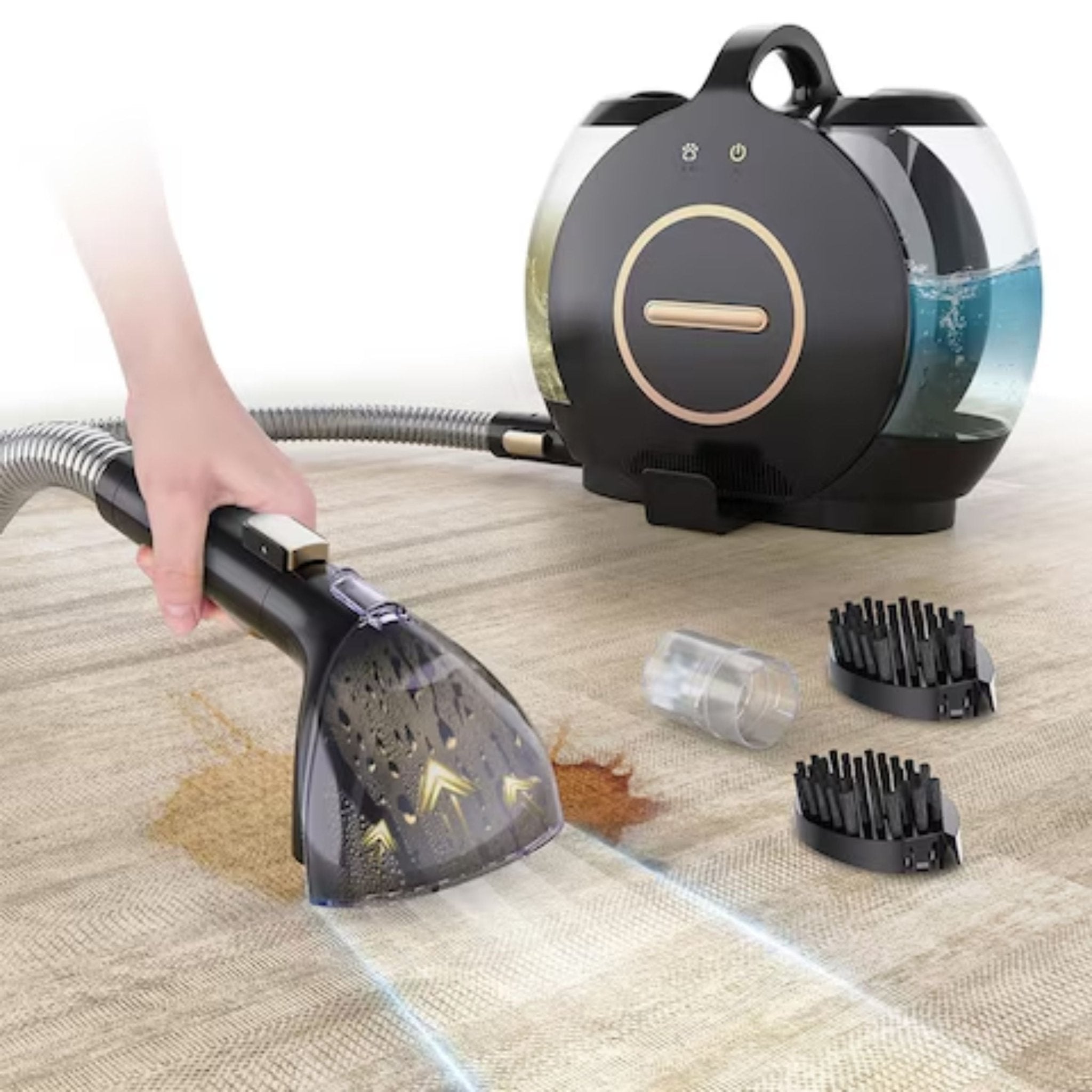 Green Lion Snail Carpet Cleaner - Black - STOORE.AE | ستور الامارات